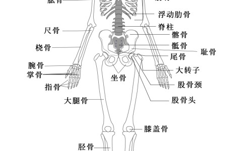 孕妇梦见好多剩菜什么预兆-孕妇梦见好多剩菜网孕妇梦见好多剩菜什么预兆知识网站,分享怀孕梦见很多菜大全