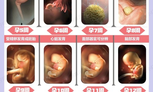 怀孕梦见很多菜-孕妇梦见好多剩菜网孕妇梦见好多剩菜什么预兆知识网站,分享怀孕梦见很多菜大全